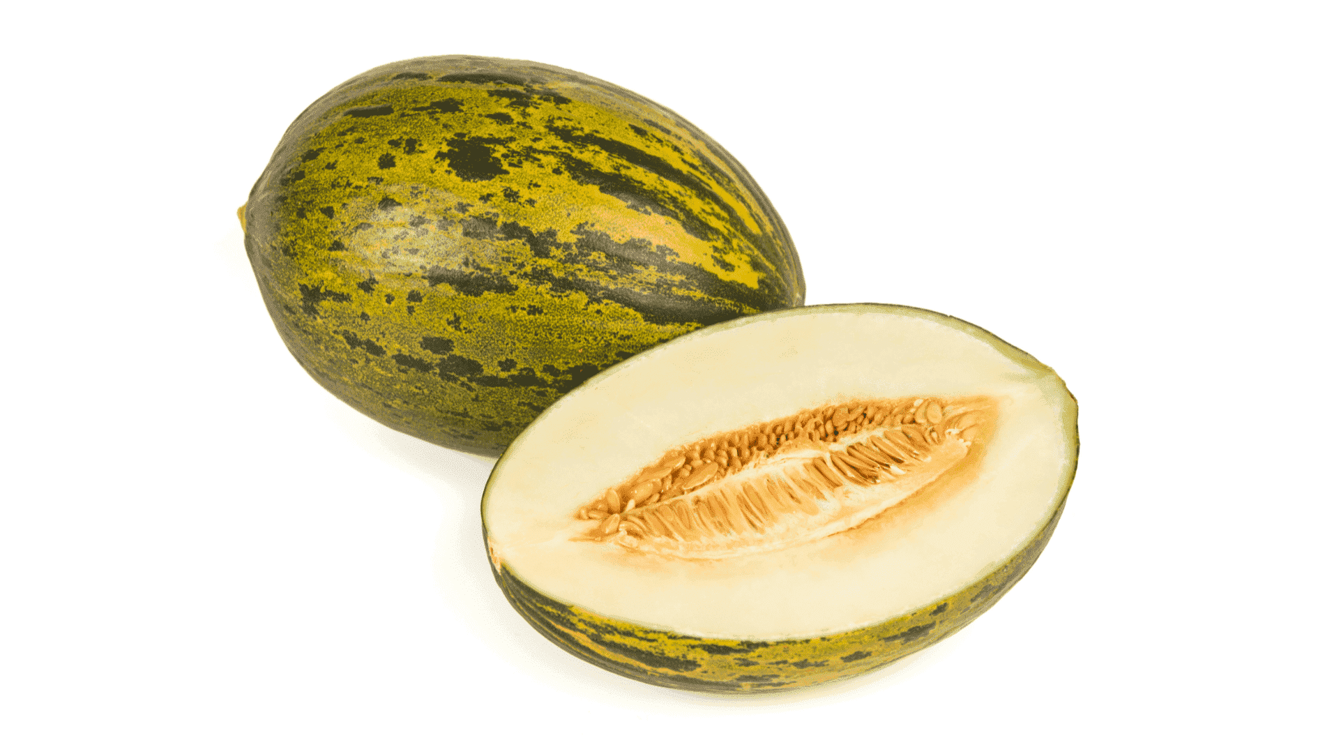 Melon Verde Piel de Sapo