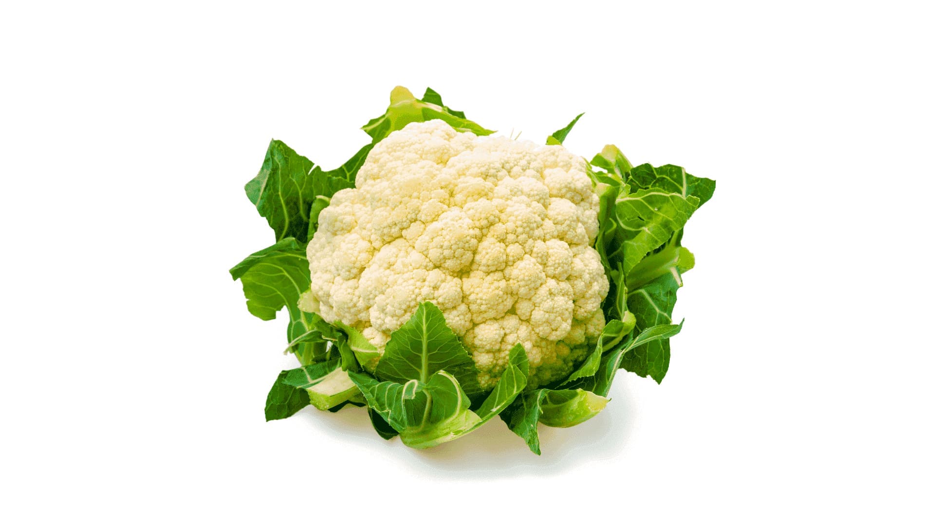 coliflor